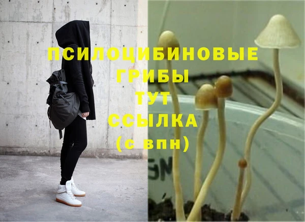 дживик Елизово