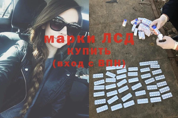 гашик Заволжье