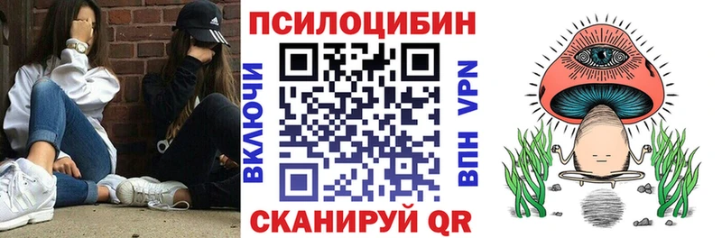 Псилоцибиновые грибы Cubensis  Купить где  Донецк 